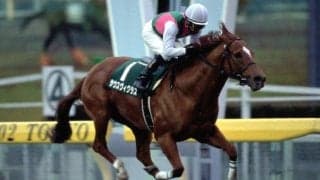 ダート競馬の勢力図を塗り替えた「サウスヴィグラス」 父や母父としても優れた影響力を発揮