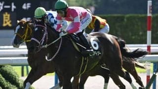 【阪神JF】春は皐月賞・ダービーへの参戦も？ 牝馬ながらクラシック三冠競走に登録している2頭とは