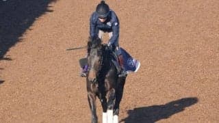 ミュージアムマイルなど、先週の入厩情報/栗東トレセンニュース