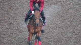 ノーブルコロネットの2022(ドラゴン)など、先週のゲート試験/栗東トレセンニュース