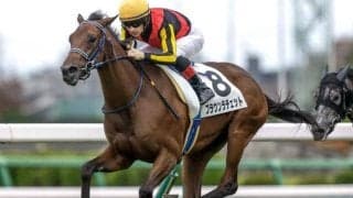 【阪神JF予想オッズ】ブラウンラチェットが予想1番人気