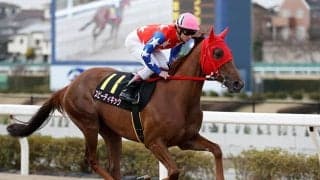 南関東牝馬二冠のスピーディキックが引退へ 30日の東京シンデレラマイルでラストラン