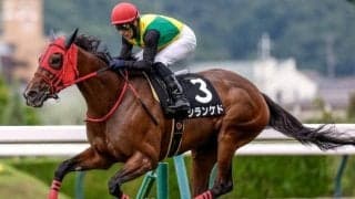 【中日新聞杯予想オッズ】シランケドが予想1番人気