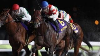 【カペラS予想オッズ】チカッパが予想1番人気