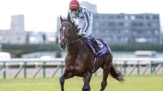 【有馬記念想定】ドウデュース、ダノンデサイルなど23頭