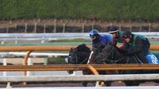 パンジャタワー、朝日杯FS1週前追い切り速報/栗東トレセンニュース