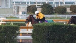 ベラジオオペラ、有馬記念2週前追い切り速報/栗東トレセンニュース