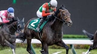 21年ユニコーンS覇者スマッシャーが登録抹消 今後は乗馬に