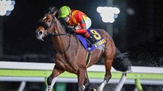 【大井・勝島王冠結果】キングストンボーイが転入初戦で重賞初制覇