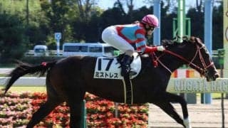 【阪神JF予想】高く評価された潜在能力も魅力 AIが推奨する妙味ある一頭とは