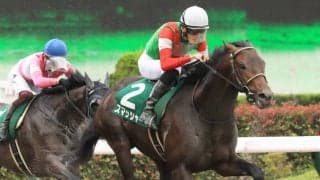 スマッシャーの競走馬登録抹消