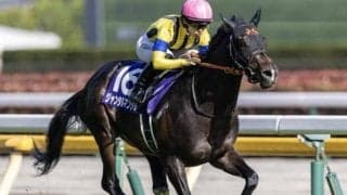 3歳マイル王が海外初参戦 NHKマイルC以来7カ月ぶり実戦で香港マイルに挑む