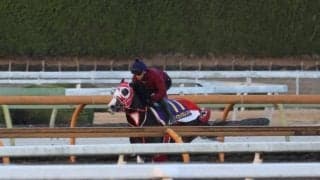 タイセイカレント、朝日杯FS1週前追い切り速報/栗東トレセンニュース