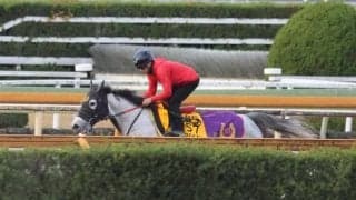 イフェイオン、ターコイズS1週前追い切り速報/栗東トレセンニュース