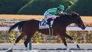 【中京2R】永島まなみ騎乗 ディクレアブルームが抜け出す