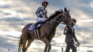 【有馬記念ファン投票最終結果】ドウデュースが歴代最多得票で首位！ 約48万票を獲得