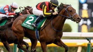 【阪神JF・調教後馬体重】ブラウンラチェットは430kg、コートアリシアンは448kg