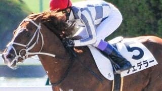 デビュー戦は大差勝ち！ ナダル産駒フェデラーが連勝なるか