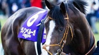 ダノンベルーガやボンドガールの半妹が待望デビュー 初戦を制しGI戦線に駆け上がるか