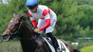 中内田充正厩舎の3.1億円馬、今度こそ初勝利なるか デビュー戦3着からの巻き返しへ