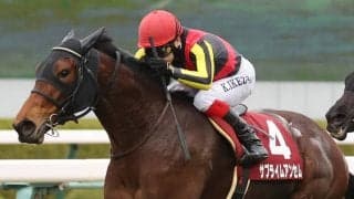 サブライムアンセムの競走馬登録抹消