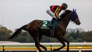 【阪神JF】ブラウンラチェットはマイナス10kg…調教後の馬体重