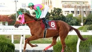 【園田金盃】マルカイグアスが重賞3連勝