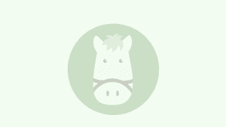 永島まなみが2度目のG1参戦…女性ジョッキー騎乗馬