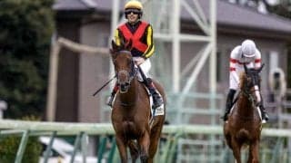 【阪神JF枠順確定】ブラウンラチェットは5枠10番、コートアリシアンは7枠13番