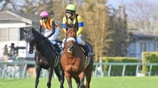 【中日新聞杯枠順確定】キングズパレスは2枠3番、コスモキュランダは5枠9番