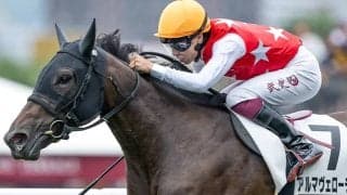 京都の阪神JFでも使えるデータ 距離短縮組の上位独占なるか