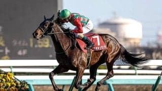 【中日新聞杯予想】前走で2000m前後に出走していた馬が中心!? 前走から大幅な距離短縮はマイナス要素？