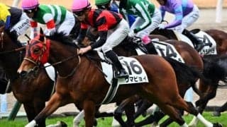 ウマピョイが再転入初戦 今村聖奈騎手とJRA初勝利なるか