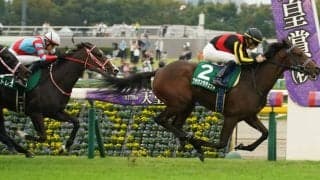 【阪神JF】ブラウンラチェットは5枠10番へ