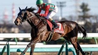 【今日の注目ポイント】中京の中日新聞杯に皐月賞2着馬コスモキュランダが登場