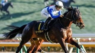 【中日新聞杯予想】混戦必至なハンデ重賞 急坂を2度越える難コースを攻略するのは