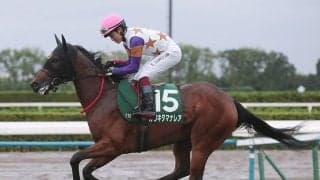 【競馬予想】阪神JFは例年とは違う舞台が波乱を引き起こす!? 穴党記者推奨の２頭で好配当を狙え
