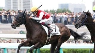 【競馬血統予想】京都開催の阪神ジュベナイルフィリーズは、「２歳戦の実績」を重視して２頭をピックアップ