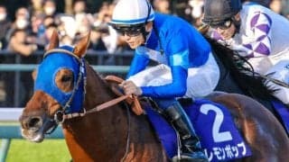 ダートGI/JpnI・6勝のレモンポップが登録抹消 ダーレー・ジャパン スタリオンコンプレックスで種牡馬入り