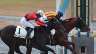 【中京5R新馬戦結果】ナダル産駒トゥロンが追い比べを制す