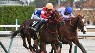 【つわぶき賞結果】ルージュラナキラが最後方からの直線一気で無傷2連勝