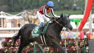 【JRA・WIN5】本日のWIN5は的中52票、配当501万2570円