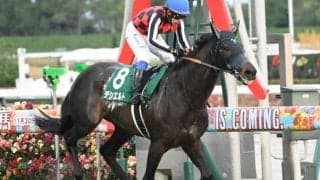 【中日新聞杯結果】デシエルトが前走に続く逃げ切りで重賞初制覇！