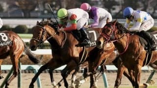 【黒松賞】サウスバンクがデビュー2連勝…ミシェル騎乗 ファビエンヌは最下位