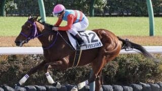 【新馬/中山6R】ナダル産駒 タマモカンパネラがデビューV