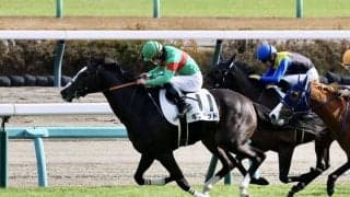 【新馬/中山5R】良血ギフテッドが快勝…ファントムシーフ半妹
