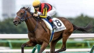 【阪神JF予想】リニューアル後の京都芝は力のいる馬場に変貌!? 好走するにはスピードだけでなくパワーも重要