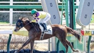 【カペラS前日オッズ】ガビーズシスターが3.1倍で1番人気