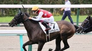 京都芝は先行持久力タイプが狙い目 アルマヴェローチェの一発を期待