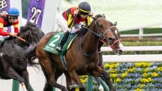 【阪神JF前日オッズ】ブラウンラチェットが2.5倍で1番人気